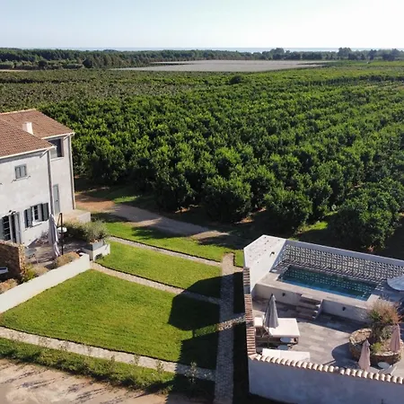 L Arancera - Sant Anghjulu - Cosy Penta di Casinca